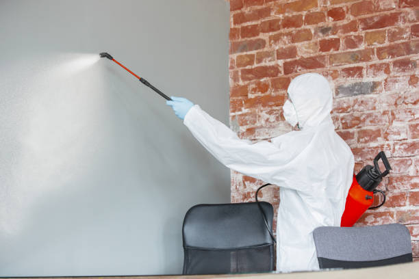 South Blooming Grove, NY Mold Removal Company